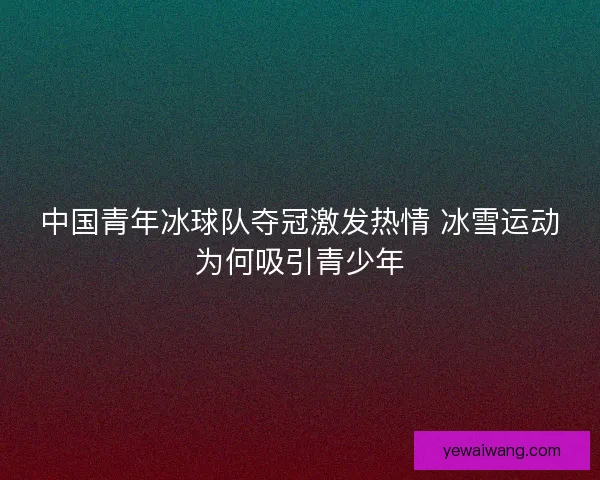 中国青年冰球队夺冠激发热情 冰雪运动为何吸引青少年